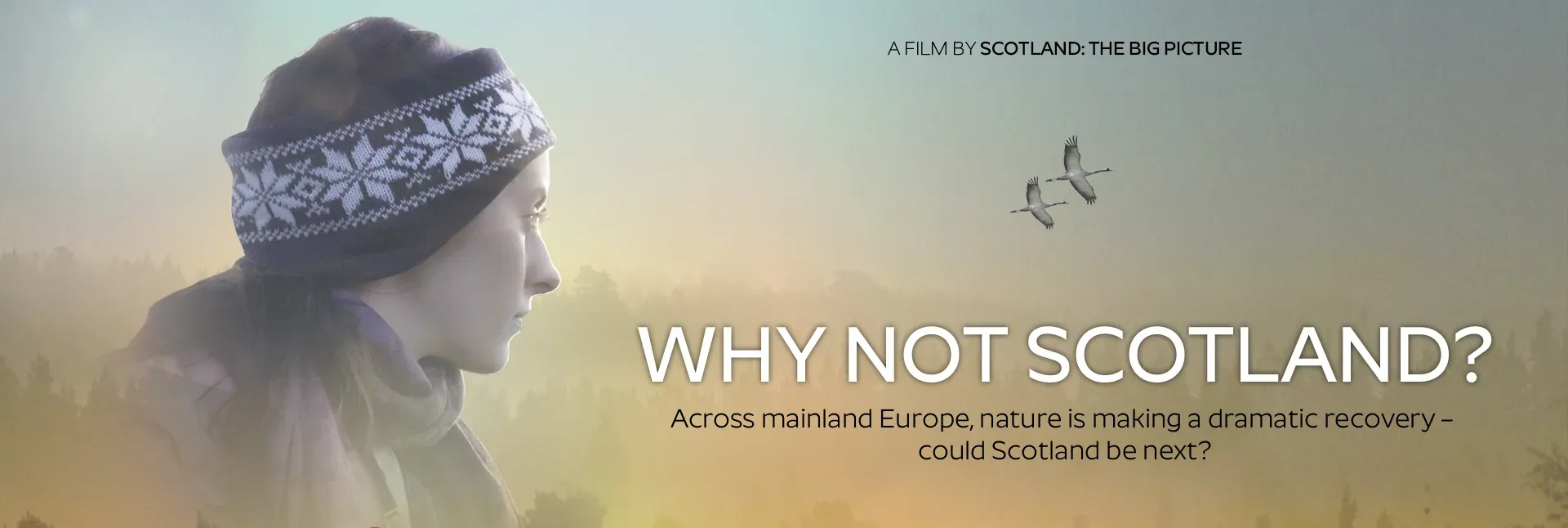 Poster of Why not Scotland film